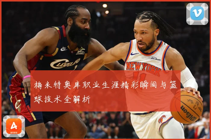 梅米特奥库职业生涯精彩瞬间与篮球技术全解析