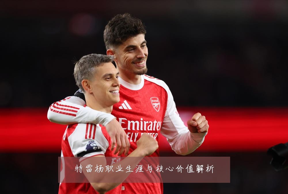 特雷杨职业生涯与核心价值解析